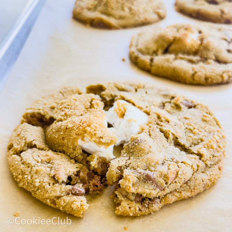 Quality Camp Fire S'mores Cookies