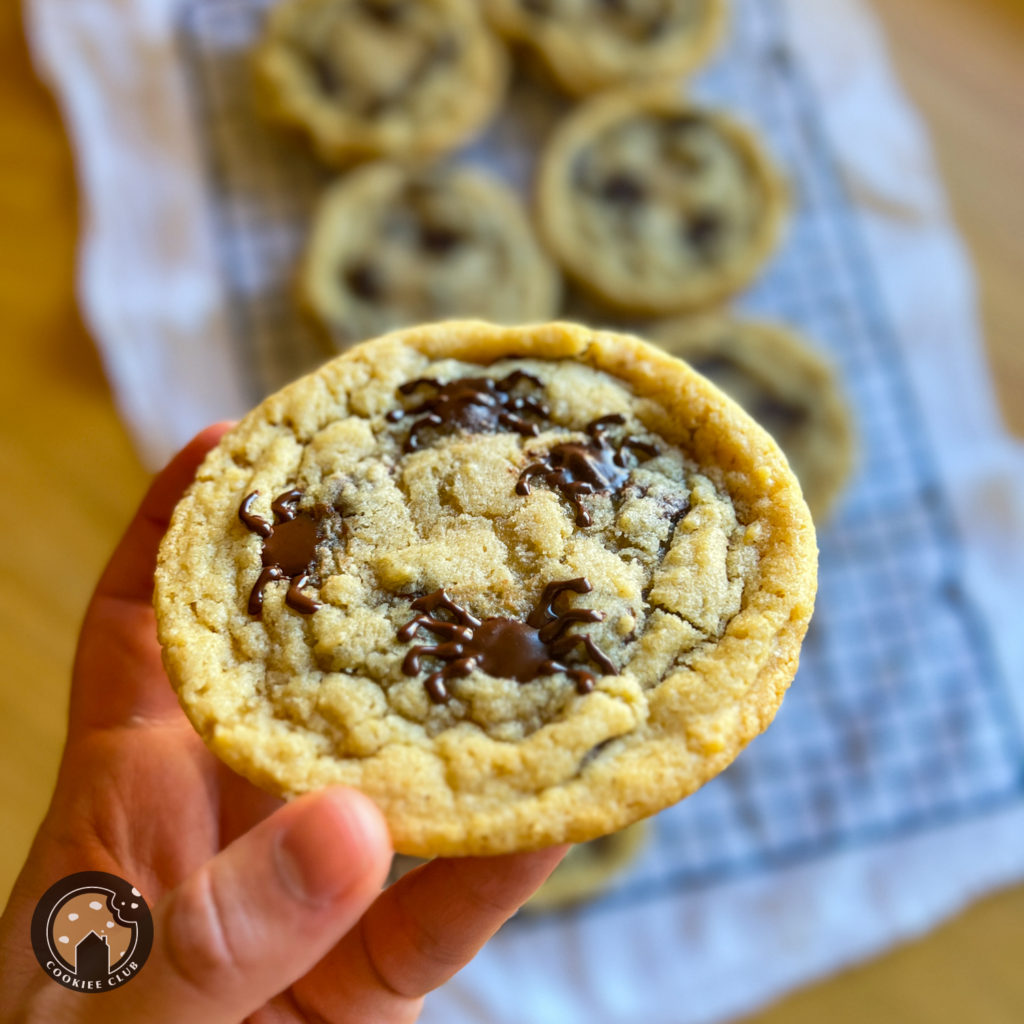 Halloween Chocolate Chip Spider Cookies